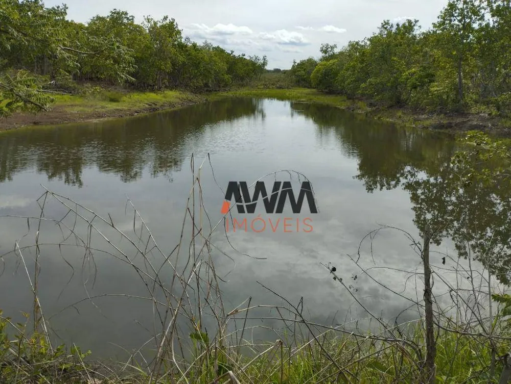 Fazenda, 2518 hectares - Foto 7