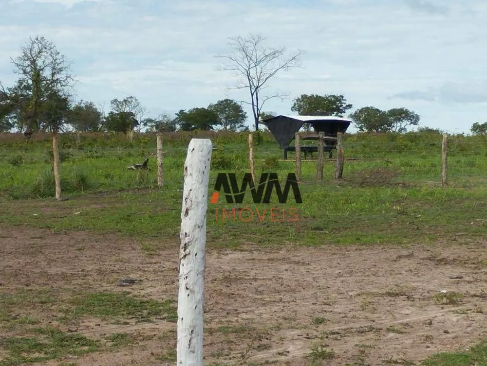 Fazenda, 2518 hectares - Foto 14
