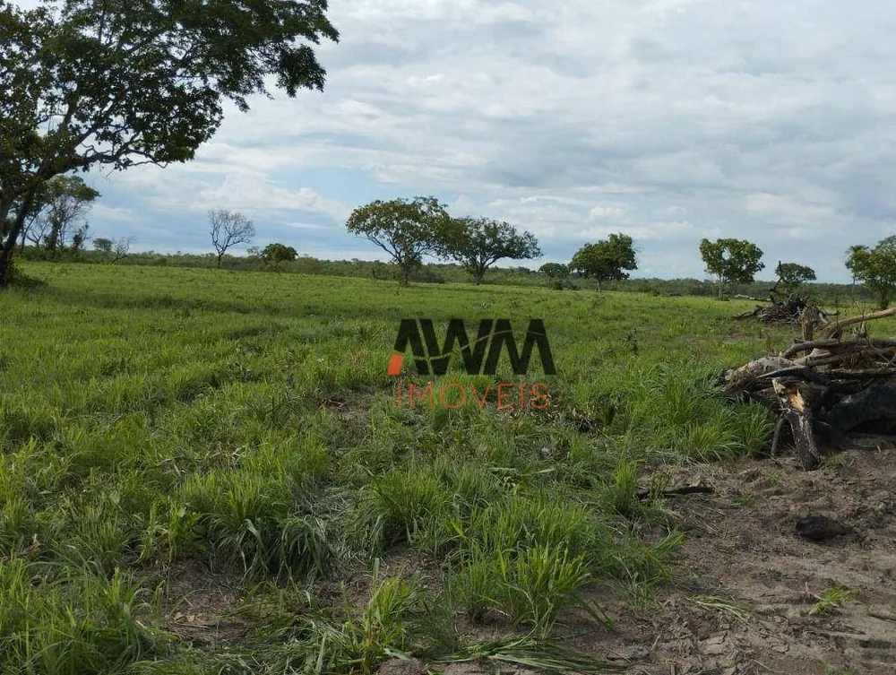 Fazenda, 2518 hectares - Foto 16