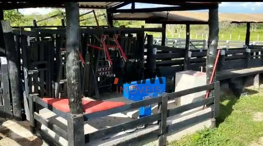 Fazenda, 2518 hectares - Foto 4