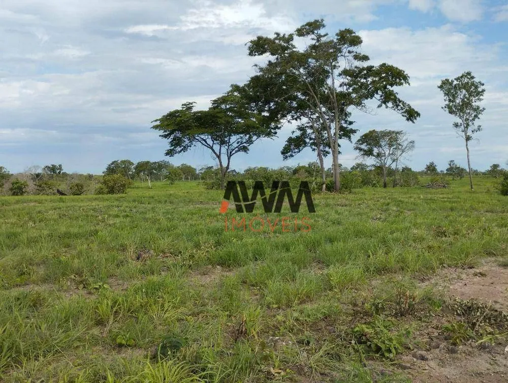Fazenda, 2518 hectares - Foto 10