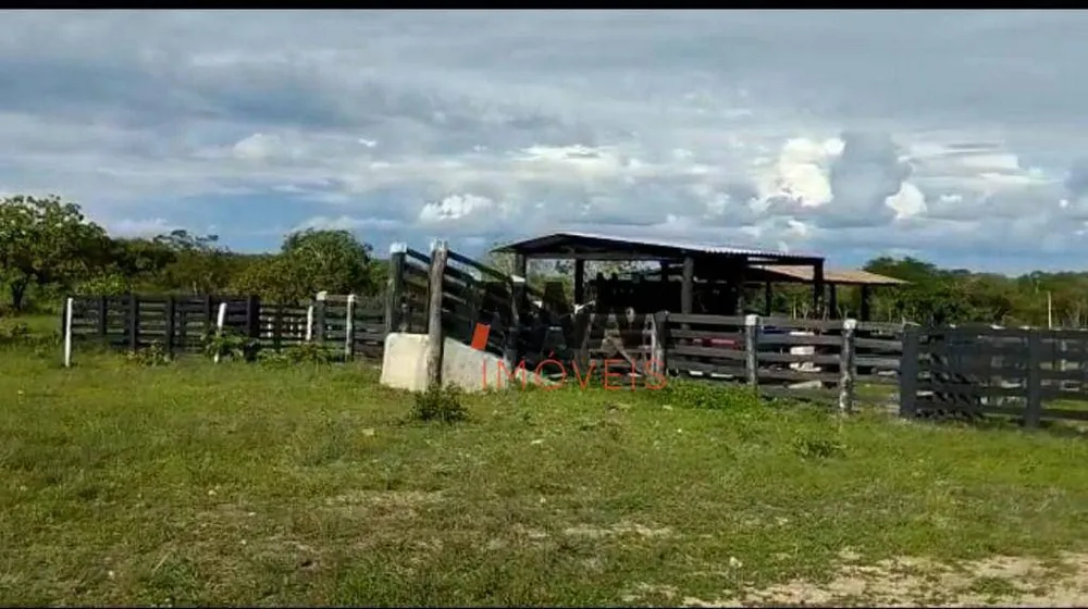 Fazenda, 2518 hectares - Foto 13