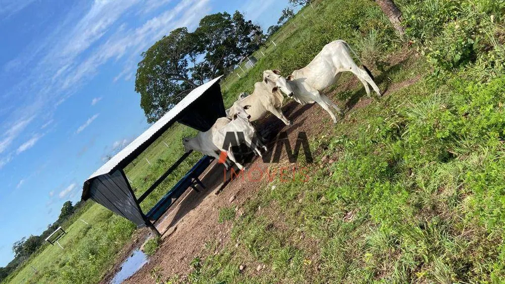 Fazenda, 2518 hectares - Foto 1