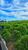 Fazenda, 1041 hectares - Foto 2