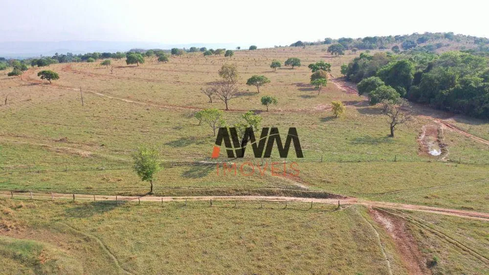 Fazenda, 329 hectares - Foto 10