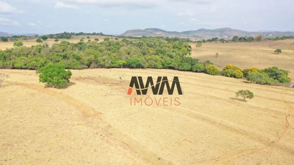 Fazenda, 329 hectares - Foto 4