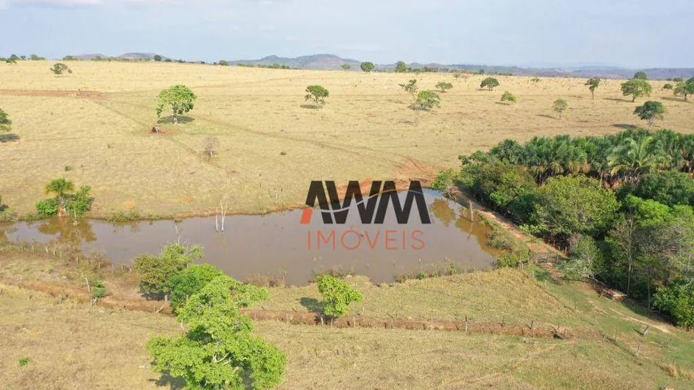 Fazenda, 329 hectares - Foto 3