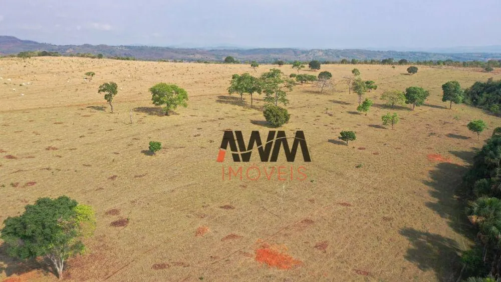 Fazenda, 329 hectares - Foto 9