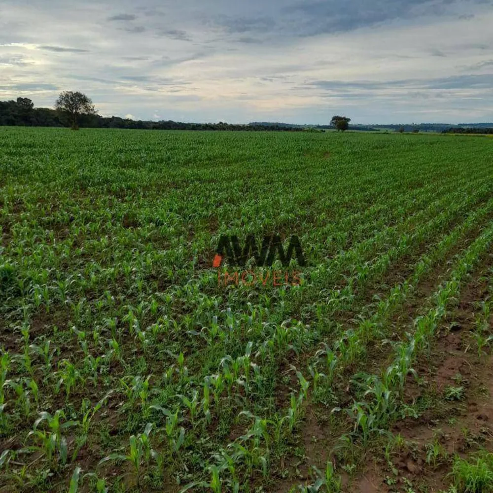 Sítio, 2 quartos, 39 hectares - Foto 4