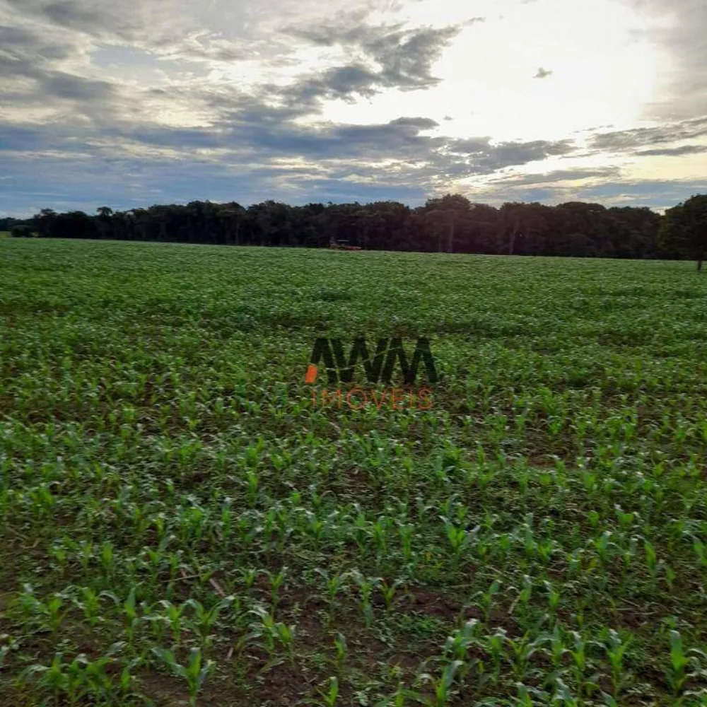 Sítio, 2 quartos, 39 hectares - Foto 1