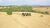 Fazenda, 329 hectares - Foto 4