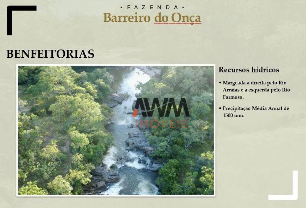 Fazenda, 9700 hectares - Foto 6