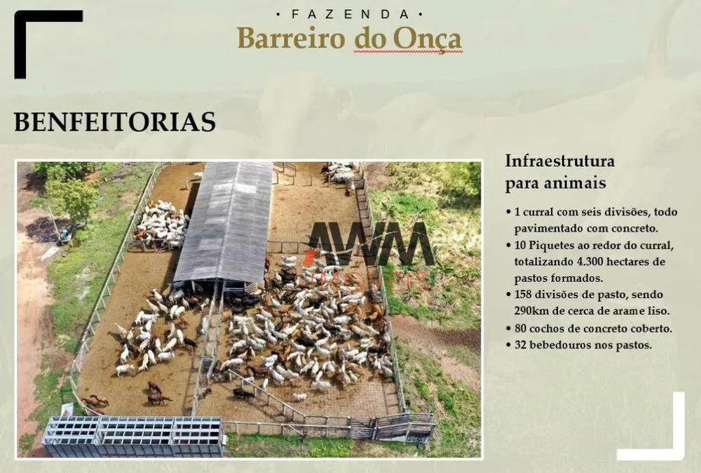 Fazenda, 9700 hectares - Foto 4