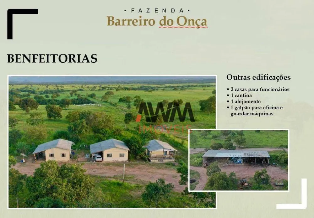 Fazenda, 9700 hectares - Foto 2