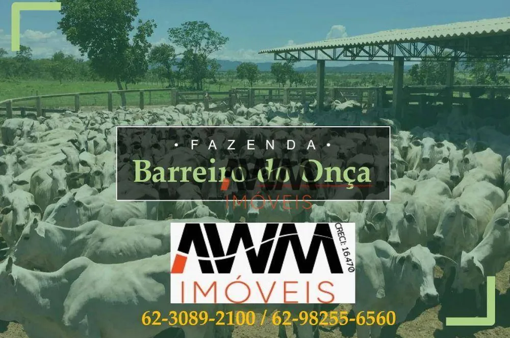 Fazenda, 9700 hectares - Foto 7