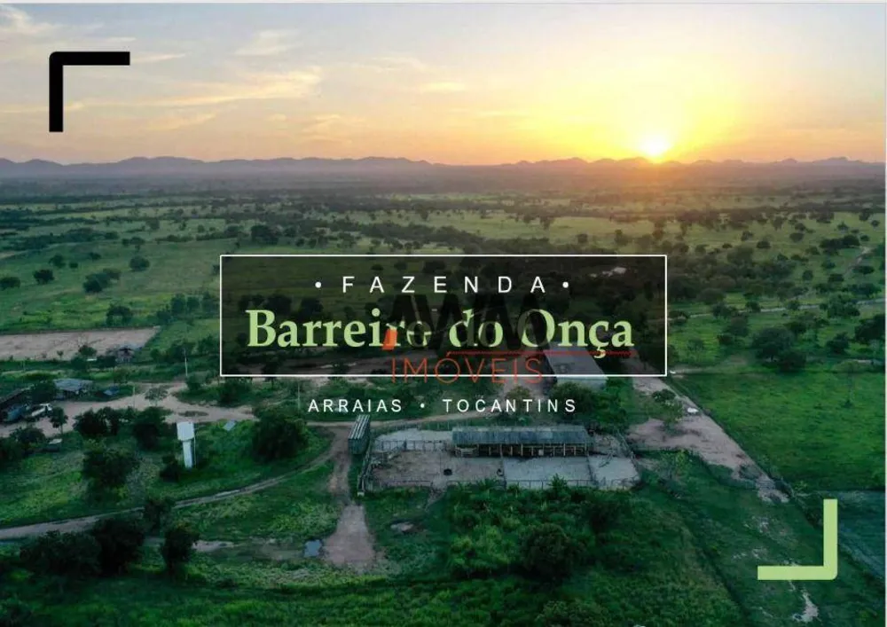 Fazenda, 9700 hectares - Foto 10