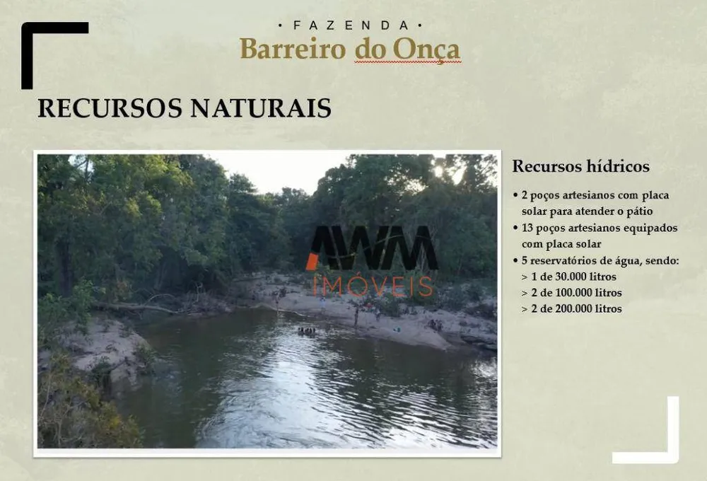 Fazenda, 9700 hectares - Foto 11