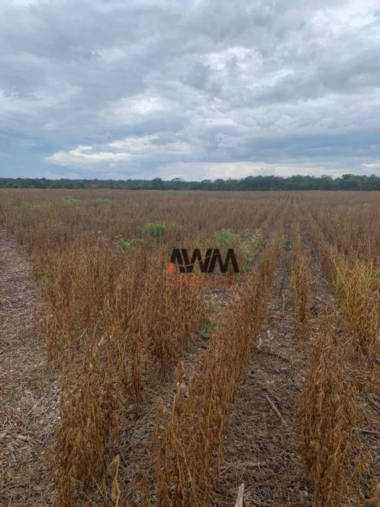 Fazenda, 702 hectares - Foto 6