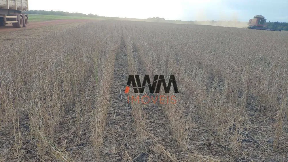 Fazenda, 702 hectares - Foto 7