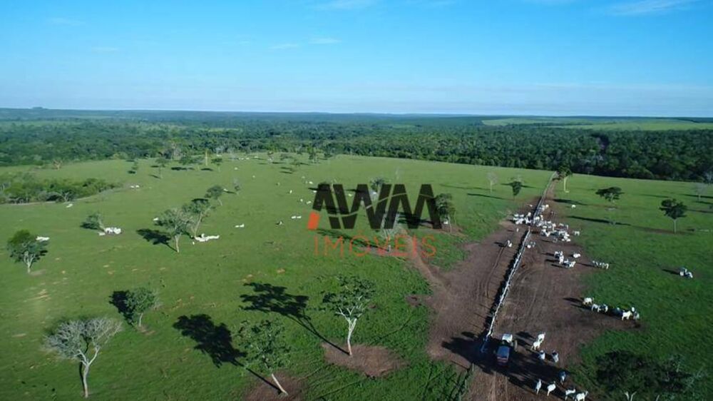 Fazenda à venda, 62800000M2 - Foto 1