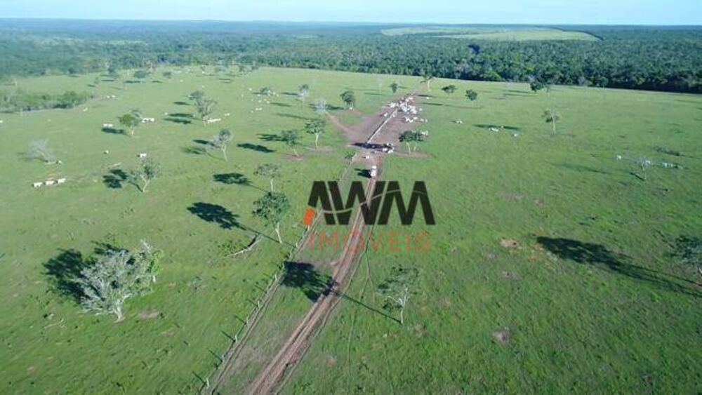 Fazenda à venda, 62800000M2 - Foto 4