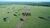 Fazenda, 6280 hectares - Foto 4