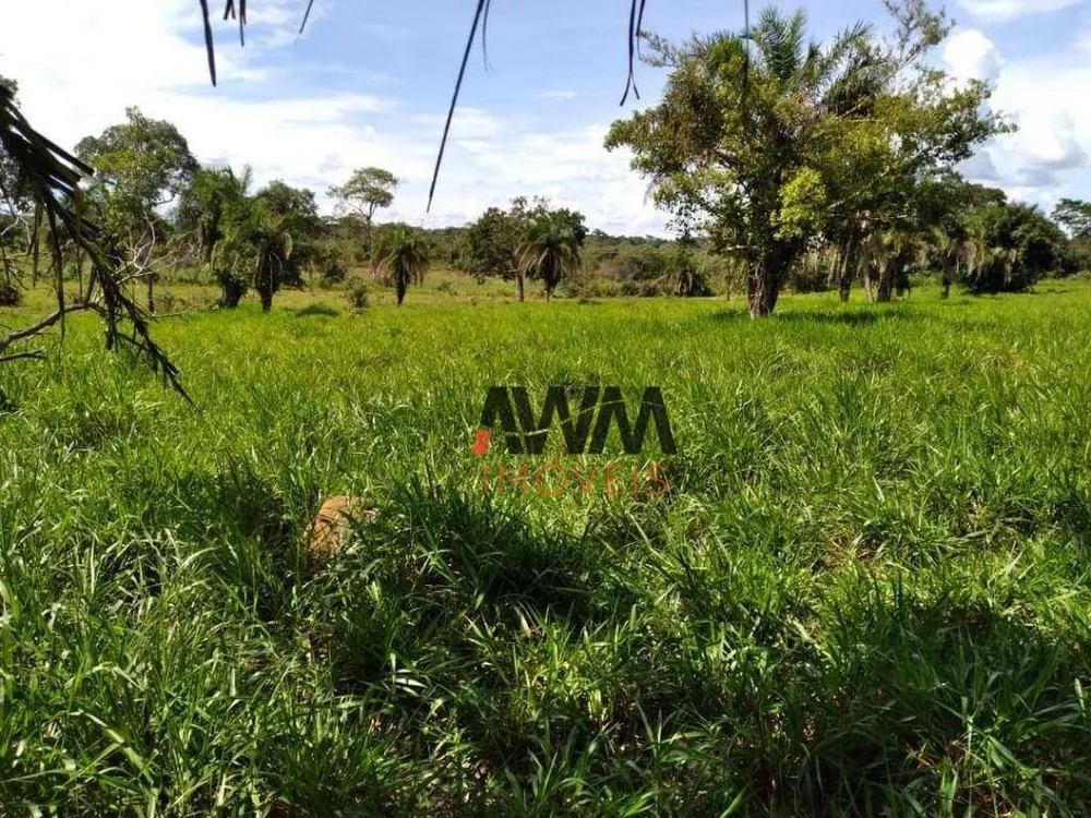 Fazenda, 276 hectares - Foto 8