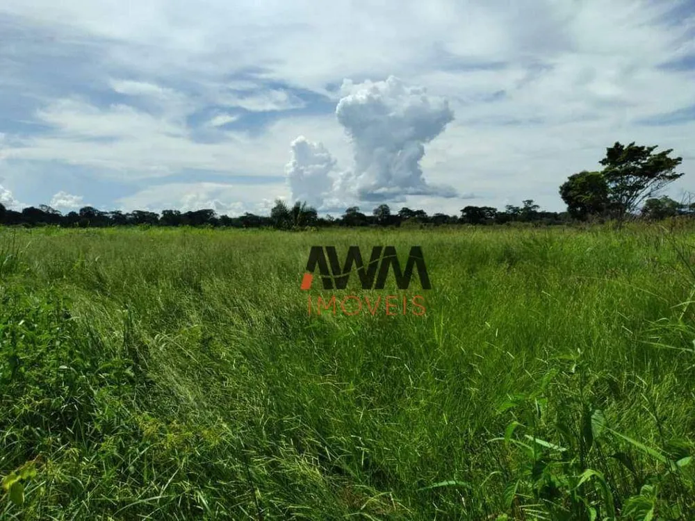 Fazenda, 276 hectares - Foto 6