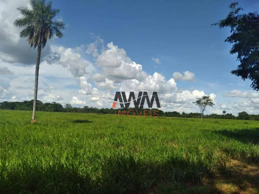 Fazenda, 276 hectares - Foto 13