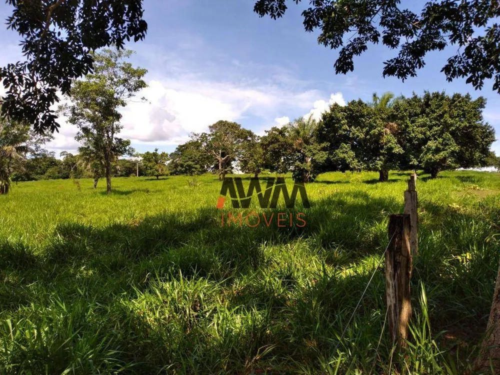 Fazenda, 276 hectares - Foto 15