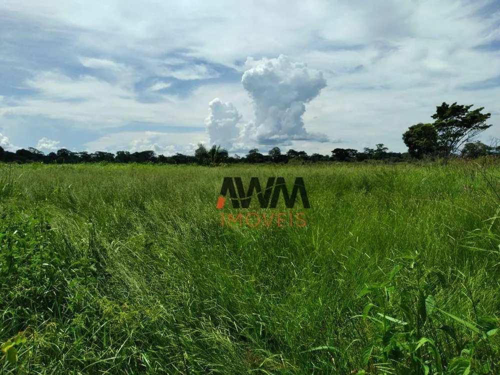 Fazenda, 276 hectares - Foto 12