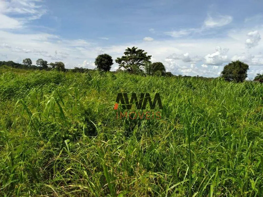 Fazenda, 276 hectares - Foto 16