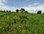 Fazenda, 276 hectares - Foto 2