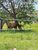 Fazenda, 416 hectares - Foto 4