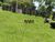 Fazenda, 416 hectares - Foto 1