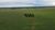 Fazenda, 3001 hectares - Foto 3