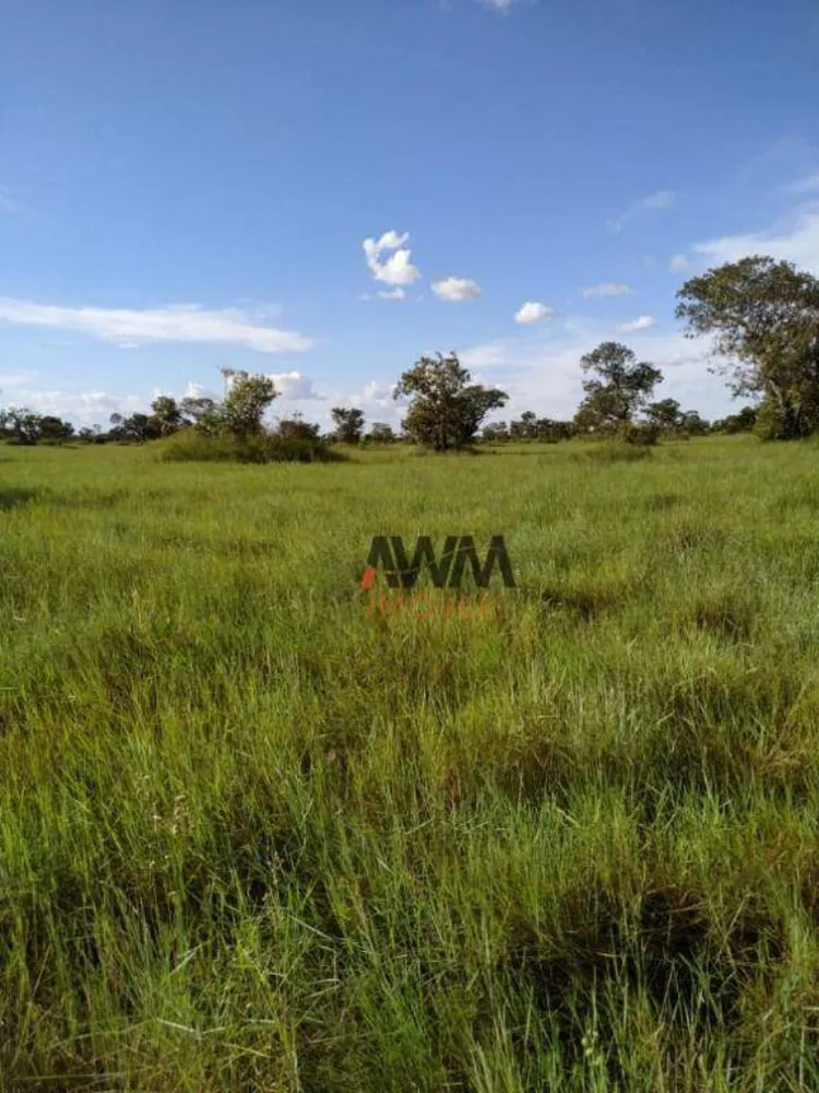 Fazenda, 4306 hectares - Foto 11