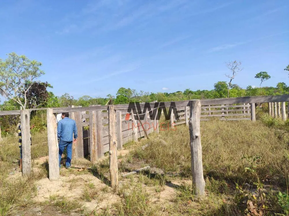 Fazenda, 4306 hectares - Foto 7