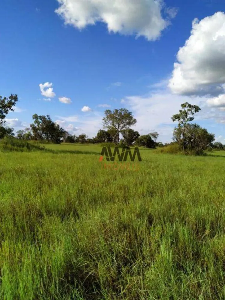 Fazenda, 4306 hectares - Foto 12