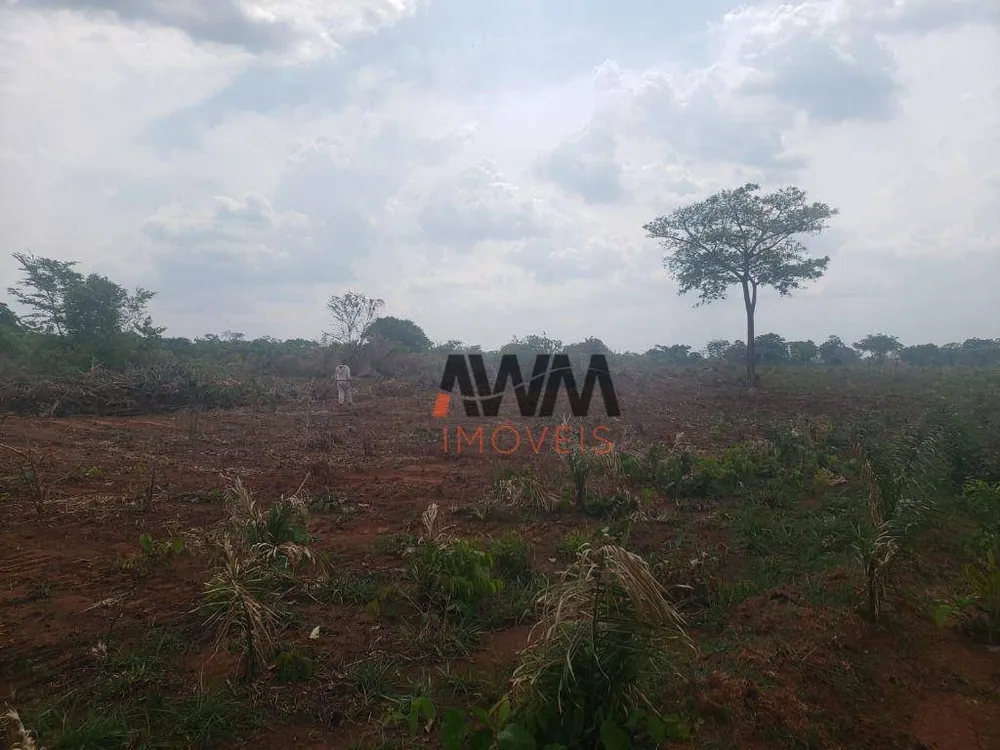 Fazenda, 4306 hectares - Foto 6