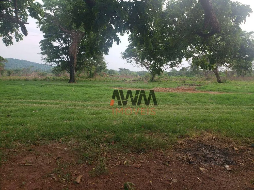 Fazenda, 4306 hectares - Foto 4