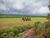 Fazenda, 3000 hectares - Foto 2