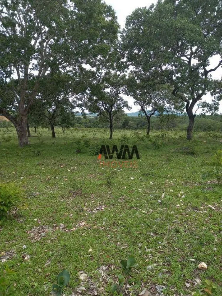 Fazenda, 213 hectares - Foto 2