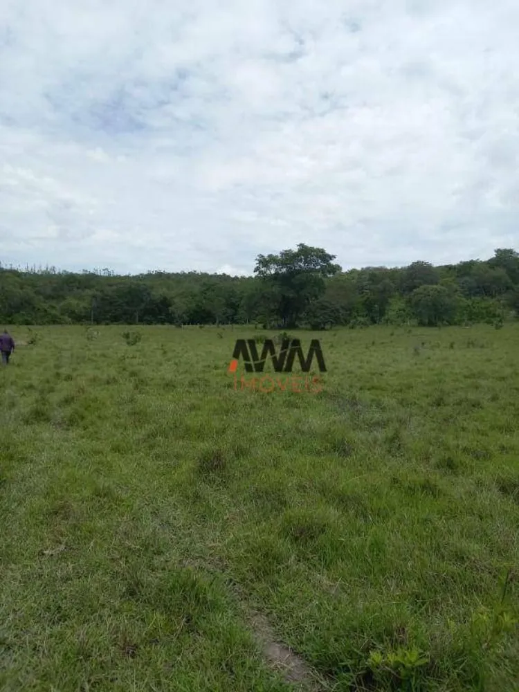 Fazenda, 213 hectares - Foto 6