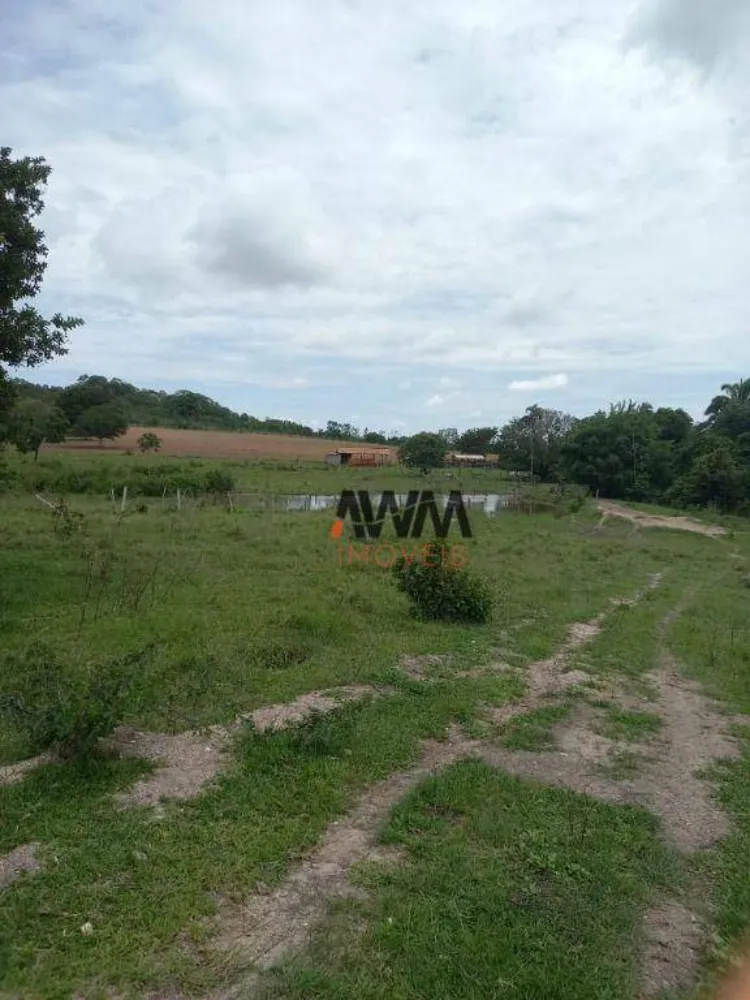 Fazenda, 213 hectares - Foto 8