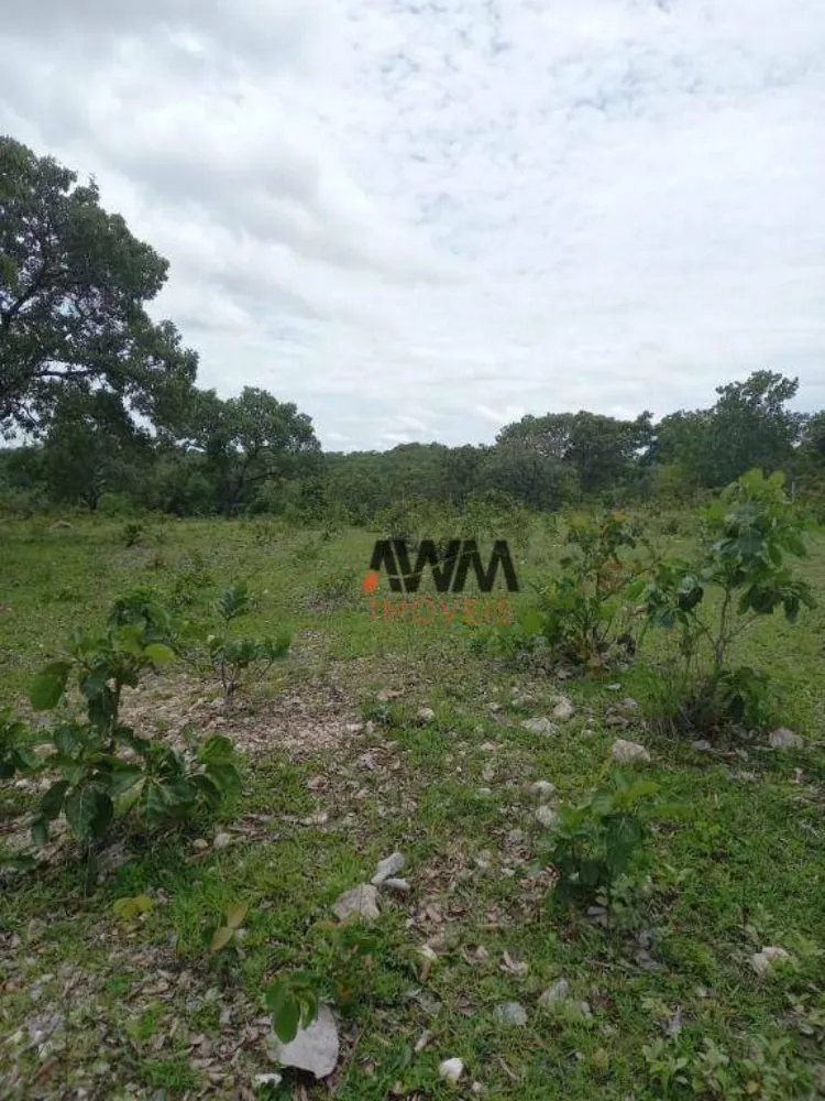 Fazenda, 213 hectares - Foto 5