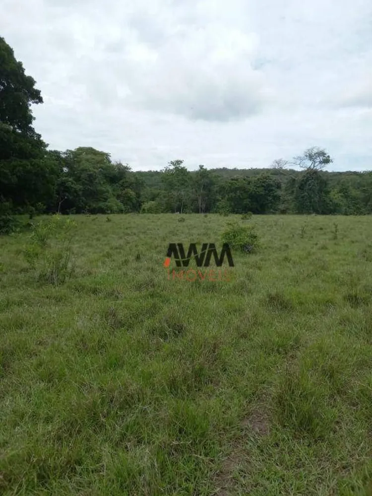 Fazenda, 213 hectares - Foto 3