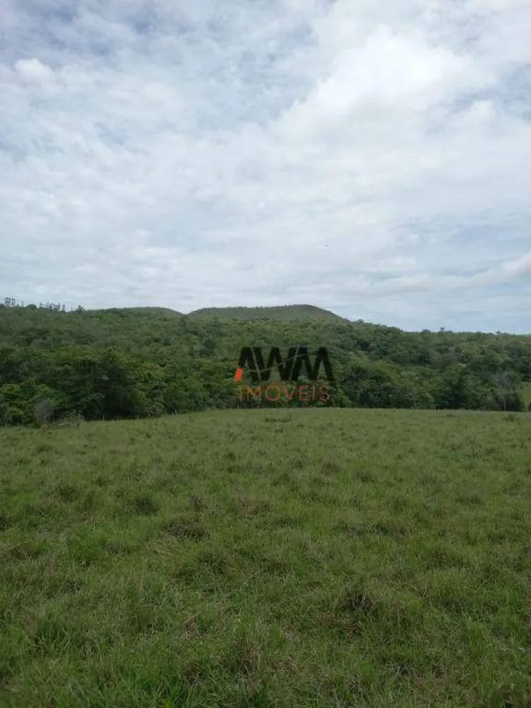 Fazenda, 213 hectares - Foto 7