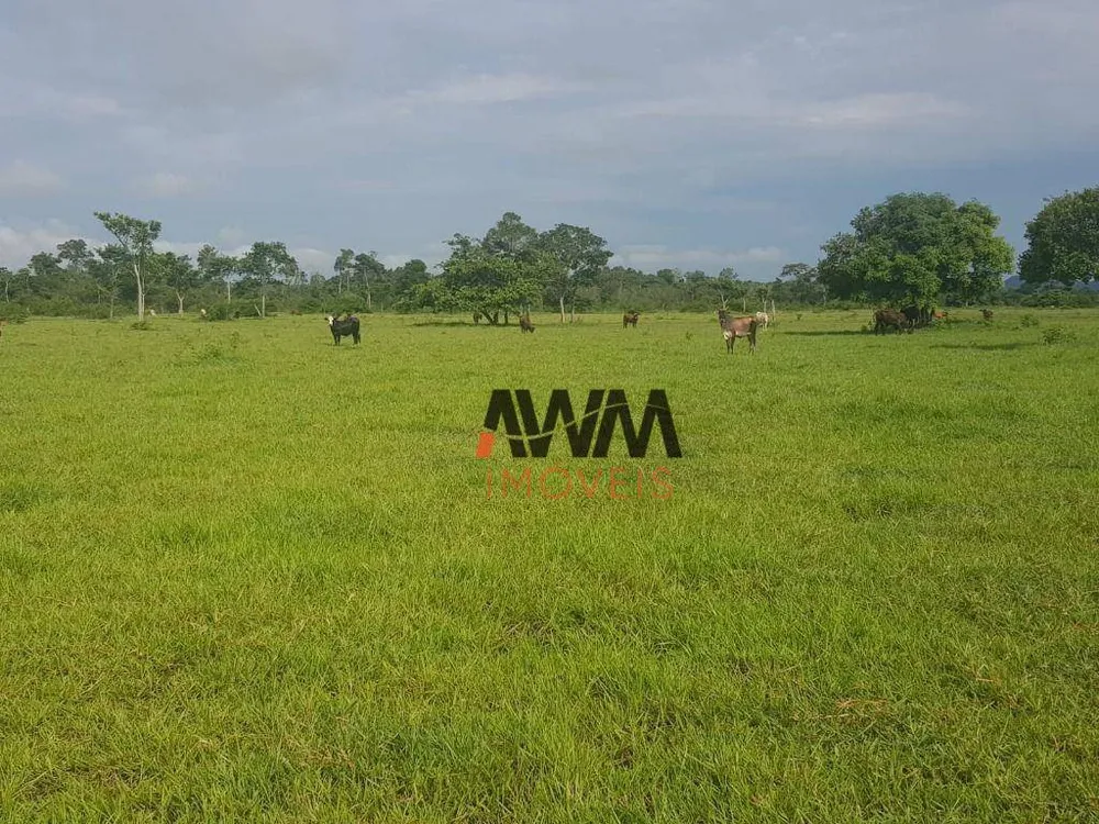 Fazenda, 5034 hectares - Foto 4