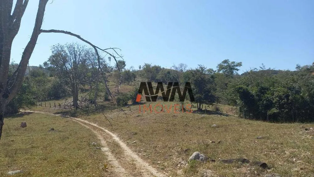 Fazenda, 136 hectares - Foto 3